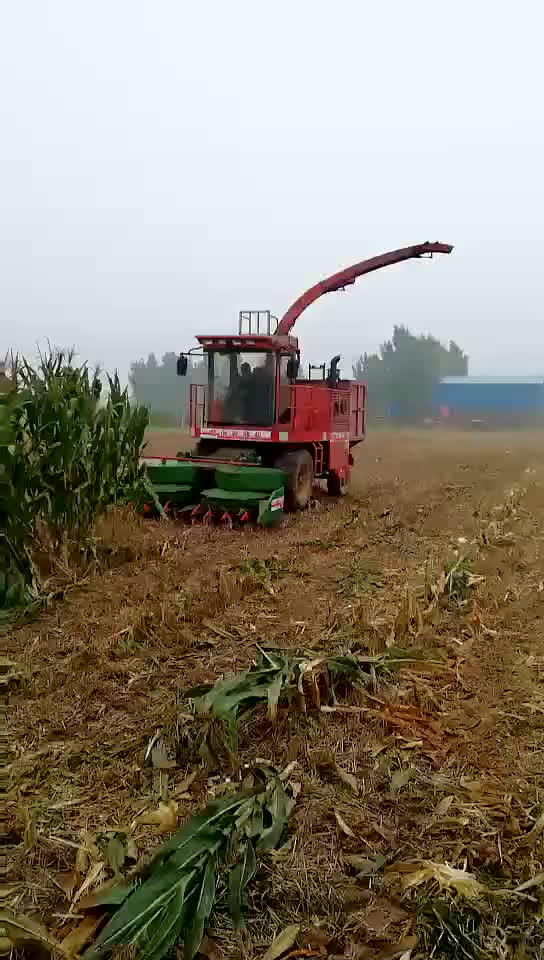 青贮饲料秸秆收割机 履带式自走青储机 全自动玉米秸秆青储饲料打包机