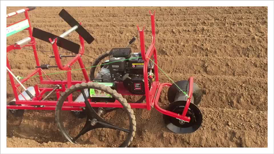 大顺全自动高效小粒子播种机