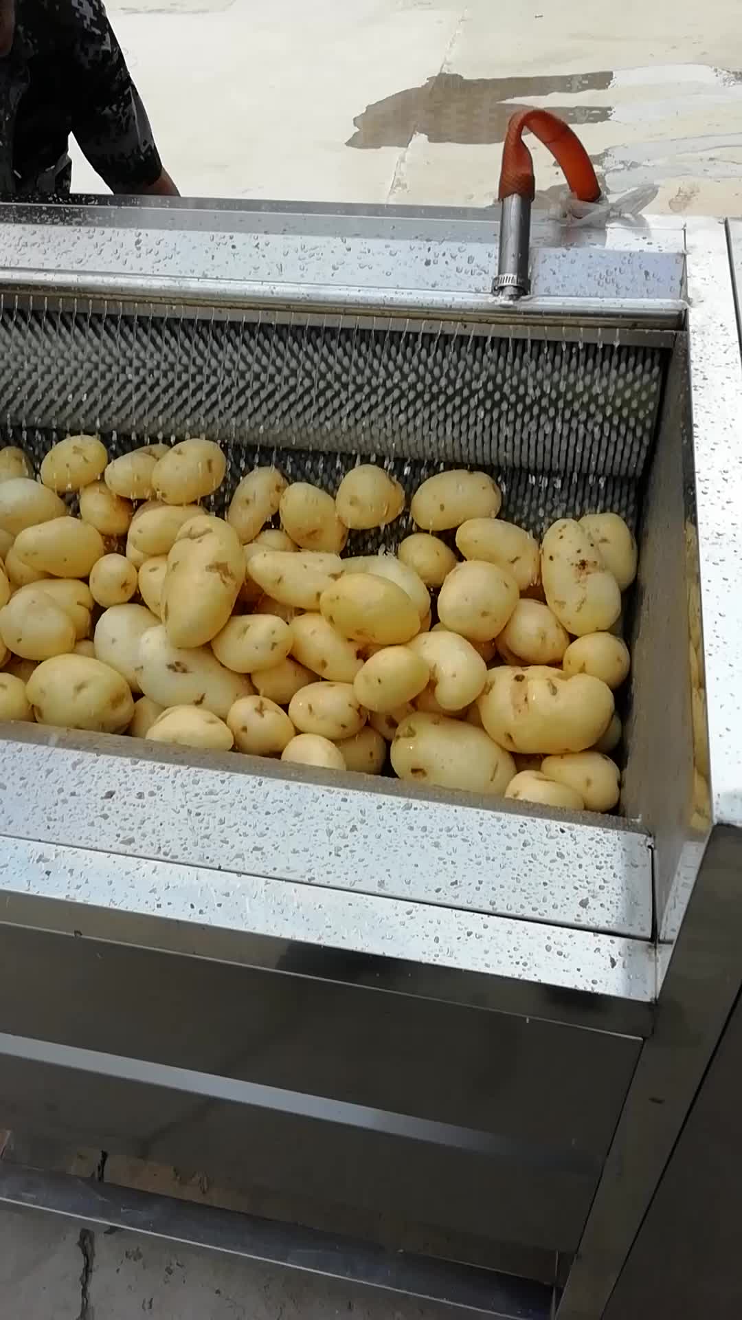 毛刷土豆去皮机 新型不锈钢清洗去皮机 果蔬清洗去皮机