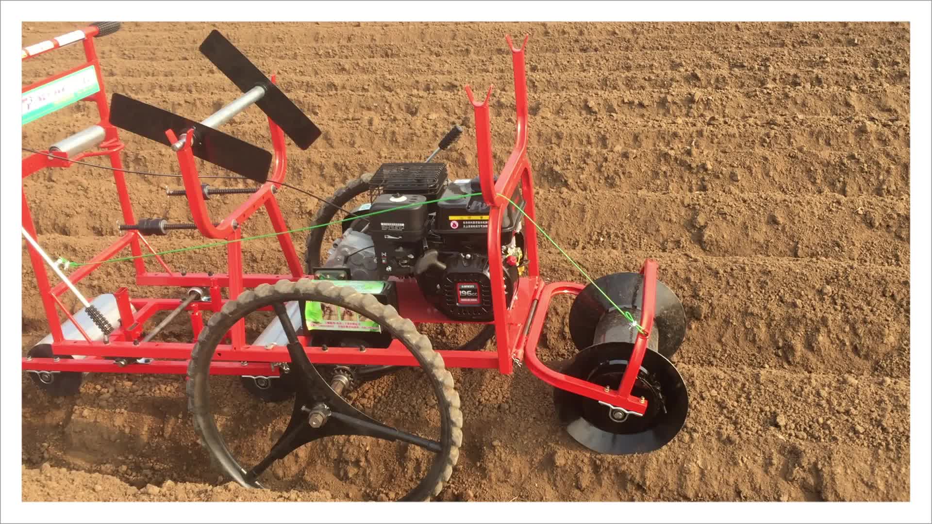 大顺牌胡萝卜播种机白萝卜播种机